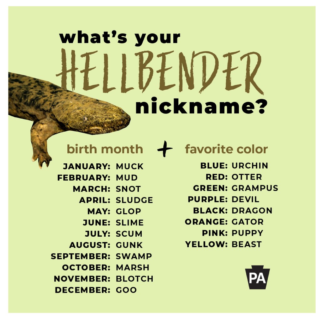 Find your hellbender nickname by combining your birth month and favorite color.